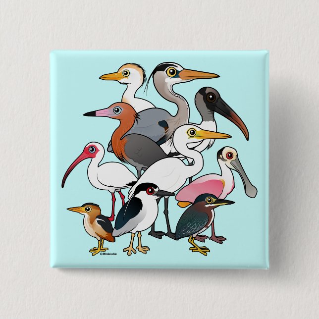 Nordamerikanska Waders Knapp (Framsida)