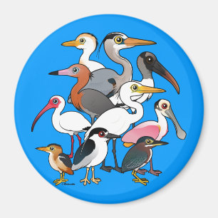Nordamerikanska Waders Magnet