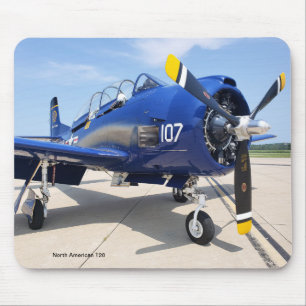Nordamerikas T28-trojanska militärflygplansdyna Musmatta
