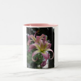 Nordandansare Två-Tonad Mugg