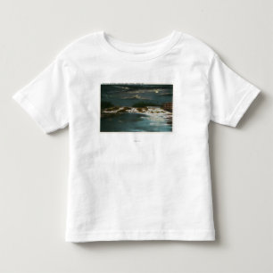 Norden överbryggar beskådar av nedgångarna på t-shirt