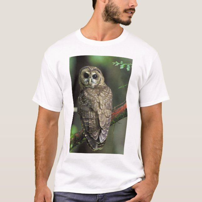 Nordhavsgående Uggla - Strix occidentalis caurina T Shirt (Framsida)