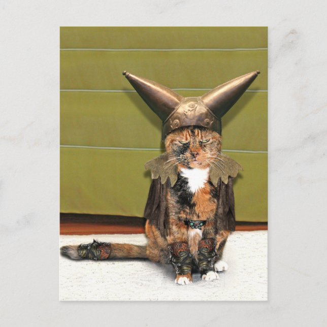 Nordisk katt: Ammas ej Vykort (Framsida)