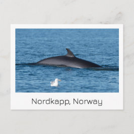 Nordkapp, Norge souvenir-kort. Vykort