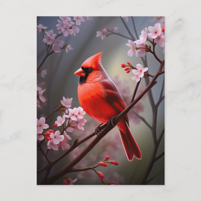 Nordkardinal Ohio Red Bird Art Postcard Vykort (Framsida)