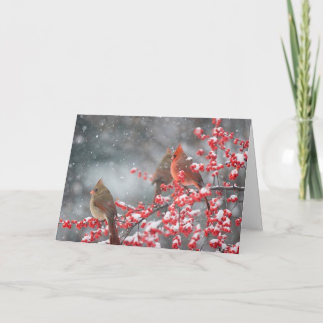 Nordkardinaler | Marion, Illinois Kort (Framsida)