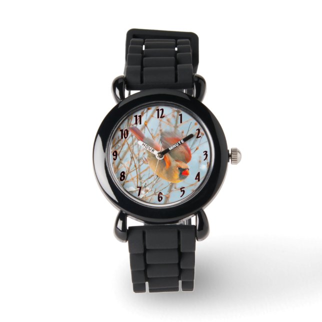 Nordkardinalflygning - originalfoto armbandsur (Framsida)