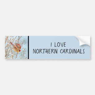 Nordkardinalflygning - originalfoto bildekal