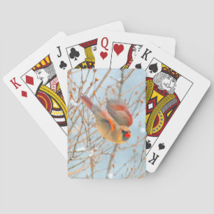Nordkardinalflygning - originalfoto casinokort