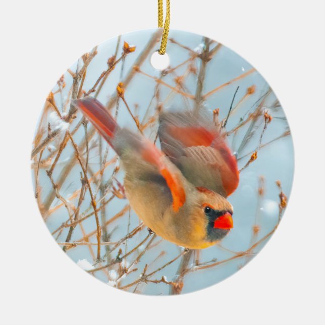 Nordkardinalflygning - originalfoto julgransprydnad keramik (Framsidan)