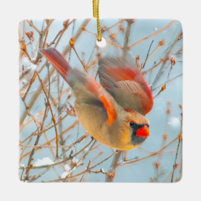 Nordkardinalflygning - originalfoto julgransprydnad keramik (Framsida)