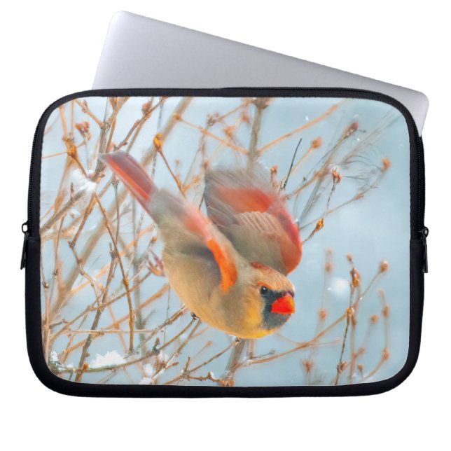 Nordkardinalflygning - originalfoto laptop fodral (Framsidan)