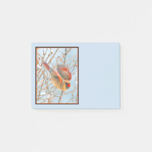 Nordkardinalflygning - originalfoto post-it block