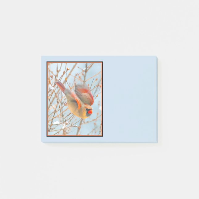 Nordkardinalflygning - originalfoto post-it block (Framsida)