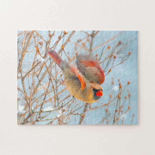 Nordkardinalflygning - originalfoto pussel (Horisontell)