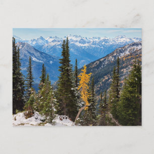 Nordkaskadbergen Wenatchee National Forest Vykort