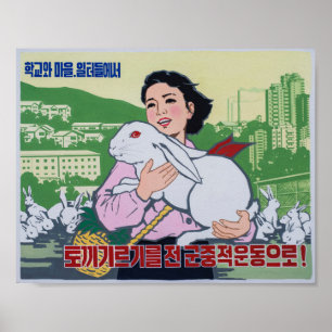 Nordkoreansk propagandaaffisch - röd ögakanin poster