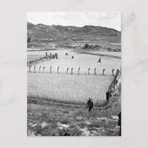 Nordkoreanska fångar_Krig Image Vykort