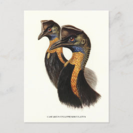 Nordkust, Vintage fåglar Vykort