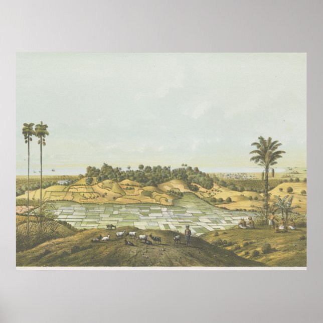 Nordkusten nära Semarang Affisch (Framsidan)