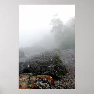 Nordkusten över Sjö Poster