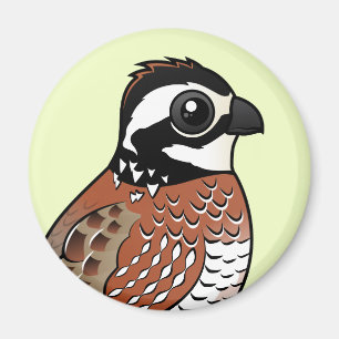 Nordlig Bobwhite Magnet