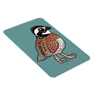 Nordlig Bobwhite Magnet
