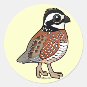 Nordlig Bobwhite Runt Klistermärke