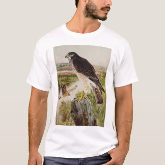 Nordlig engelsk harhund, 2 åldrar t shirt