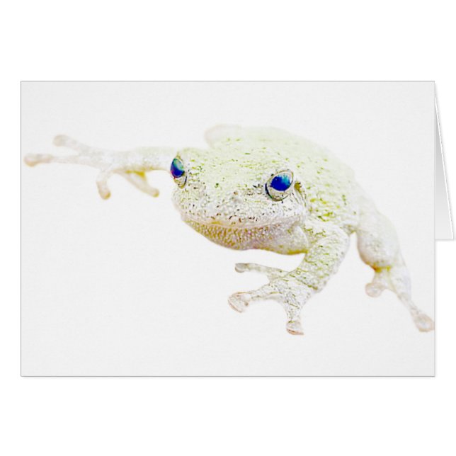 Nordlig Froggy Hälsningskort (Framsidan Horizontal)