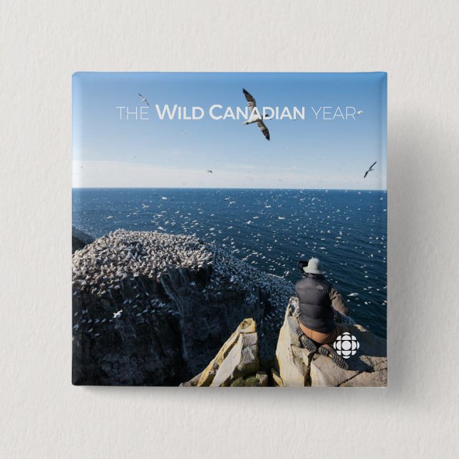 Nordlig garnfisk knapp (Framsida)