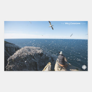 Nordlig garnfisk rektangulärt klistermärke