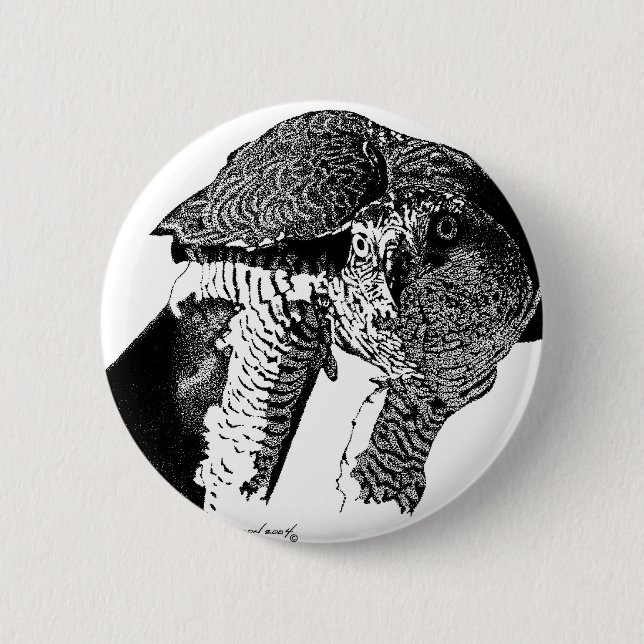 Nordlig Goshawk Knapp (Framsida)