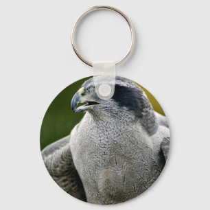 Nordlig Goshawk Nyckelring