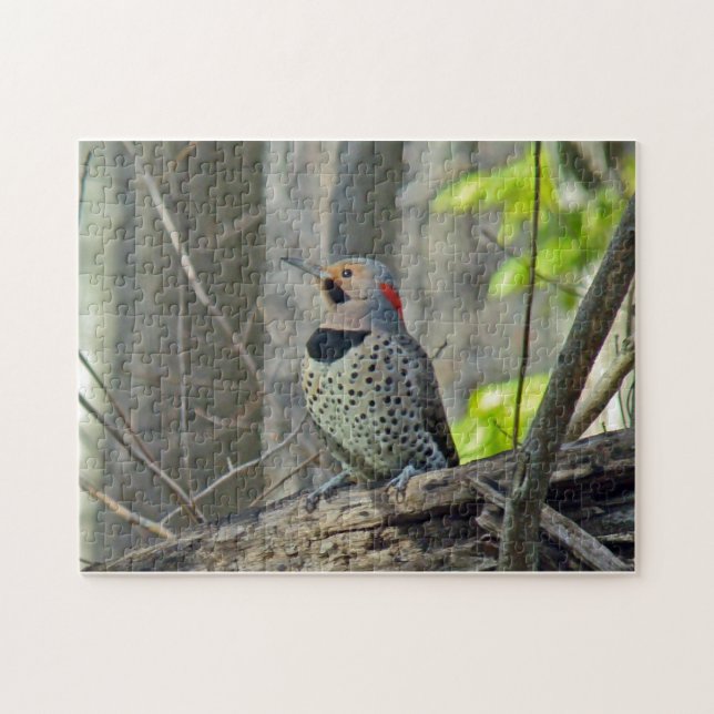 Nordlig Gult-Shafted Flicker Pussel (Horisontell)