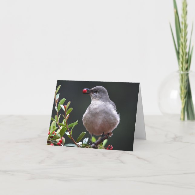 Nordlig härmfågel - Joe Sweeney - kort (Framsida)