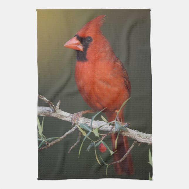 Nordlig kardinal, Cardinalis cardinalis, hane Kökshandduk (Vertikal)