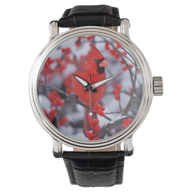 Nordlig kardinal hane, Vinter, IL Armbandsur (Framsida)