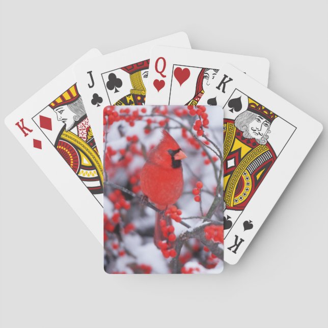 Nordlig kardinal hane, Vinter, IL Casinokort (Baksidan)