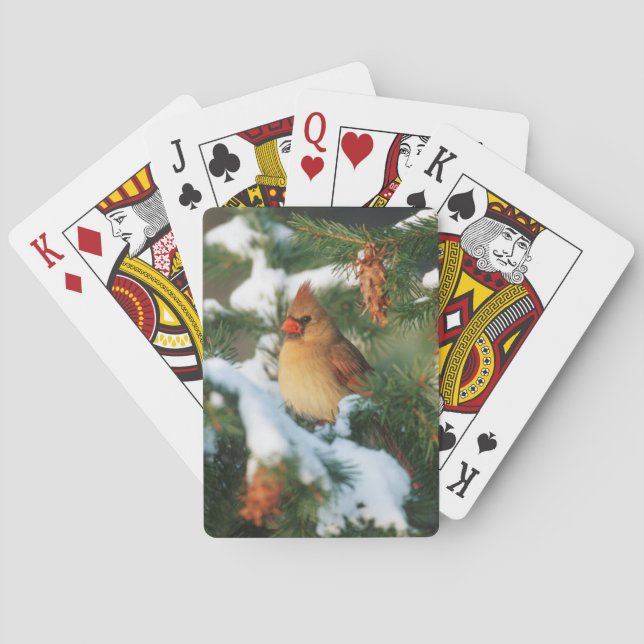 Nordlig kardinal i träd, Illinois Casinokort (Baksidan)