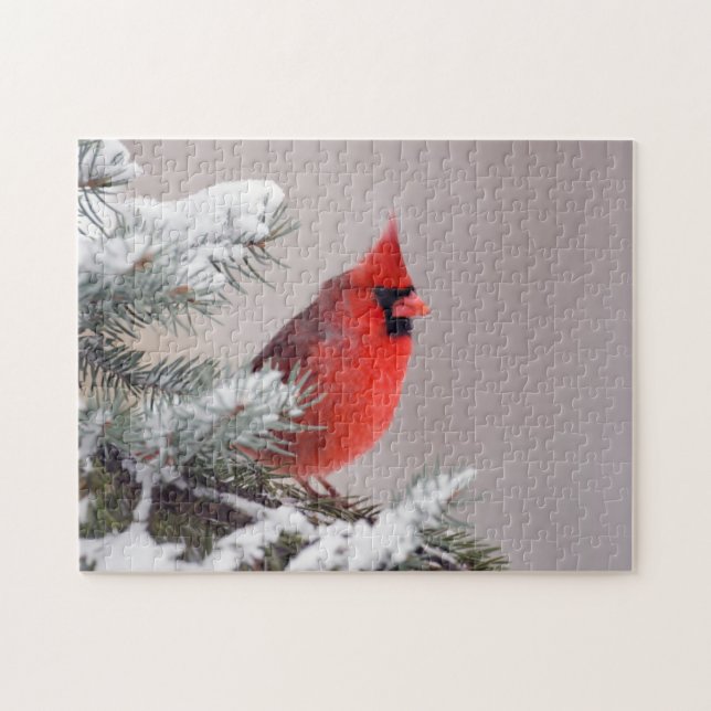 Nordlig kardinal Perched i ett träd Pussel (Horisontell)