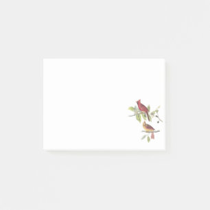 Nordlig kardinal vid Audubon Post-it Block