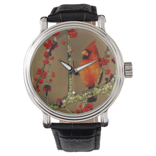 Nordlig kardinalhane sittande, IL Armbandsur (Framsida)
