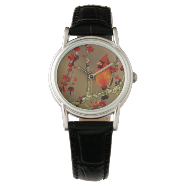 Nordlig kardinalhane sittande, IL Armbandsur (Framsida)