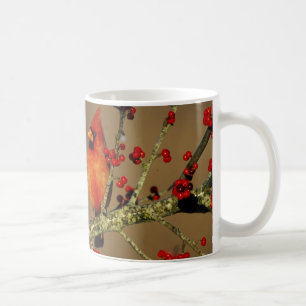 Nordlig kardinalhane sittande, IL Kaffemugg