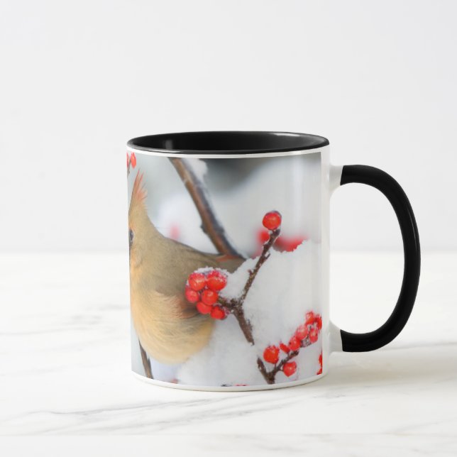 Nordlig kardinalhona på Ilex verticillata Mugg (Höger)