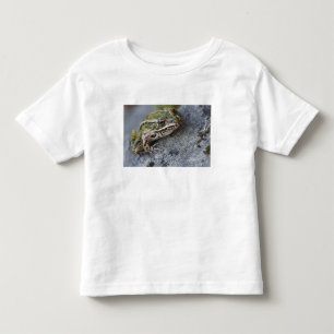Nordlig leopardgroda, See-through Island, T Shirt
