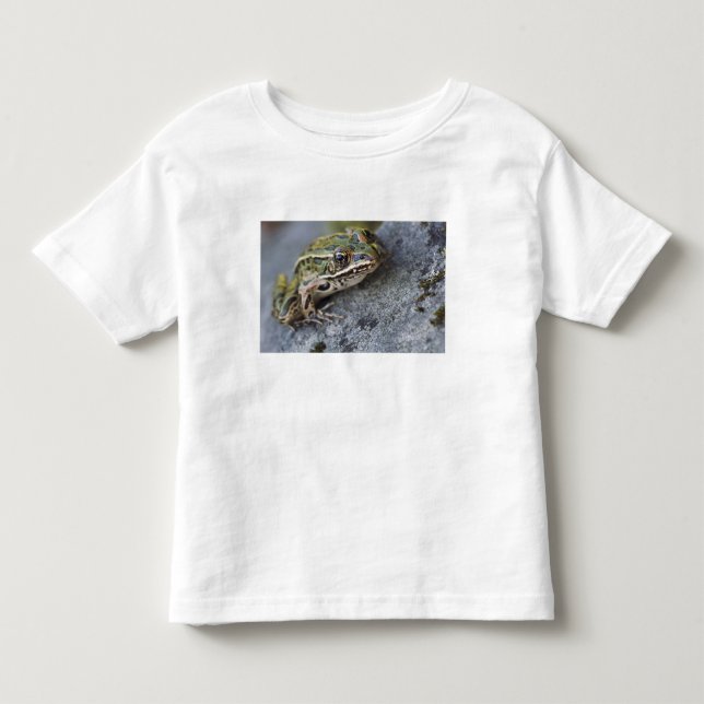 Nordlig leopardgroda, See-through Island, T Shirt (Framsida)