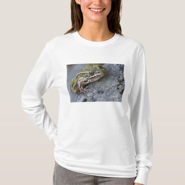 Nordlig leopardgroda, See-through Island, Tee Shirt (Framsida)