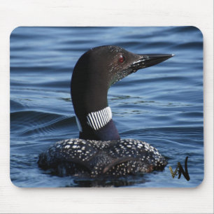 Nordlig Loon Musmatta